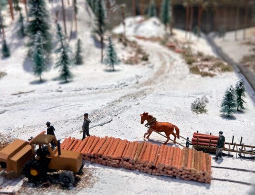 Lusto - The Finnish Forest Museum